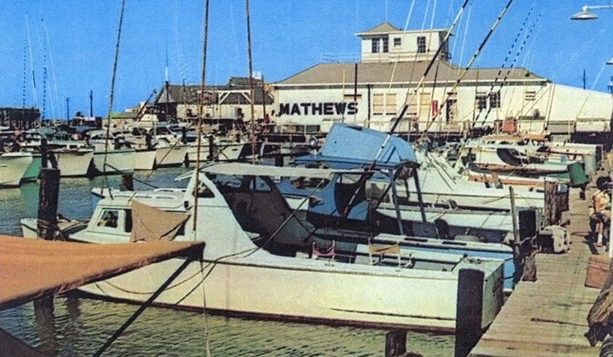 Color post card of boats at Mathew's Pier