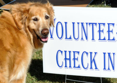 A golden retriever standing in front of the volunteer check-in sign