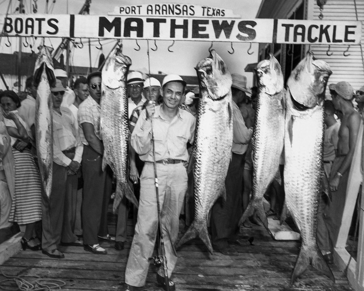 Fred Maley stands next to tarpon hanging from a Mathews Tackle sign.